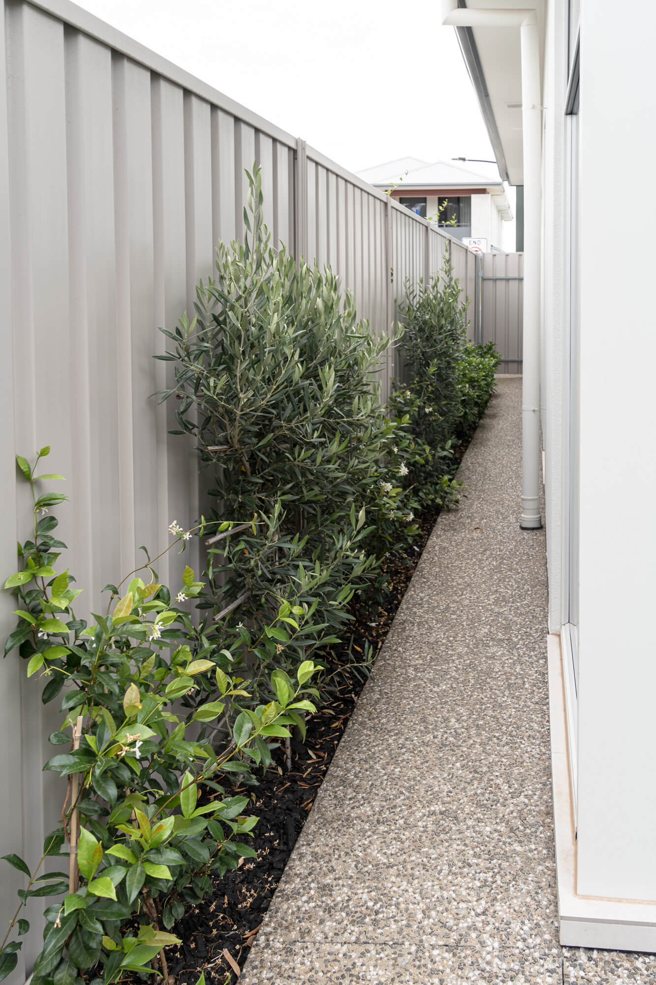 Garden pathway with gravel and planting in modern residential landscape design