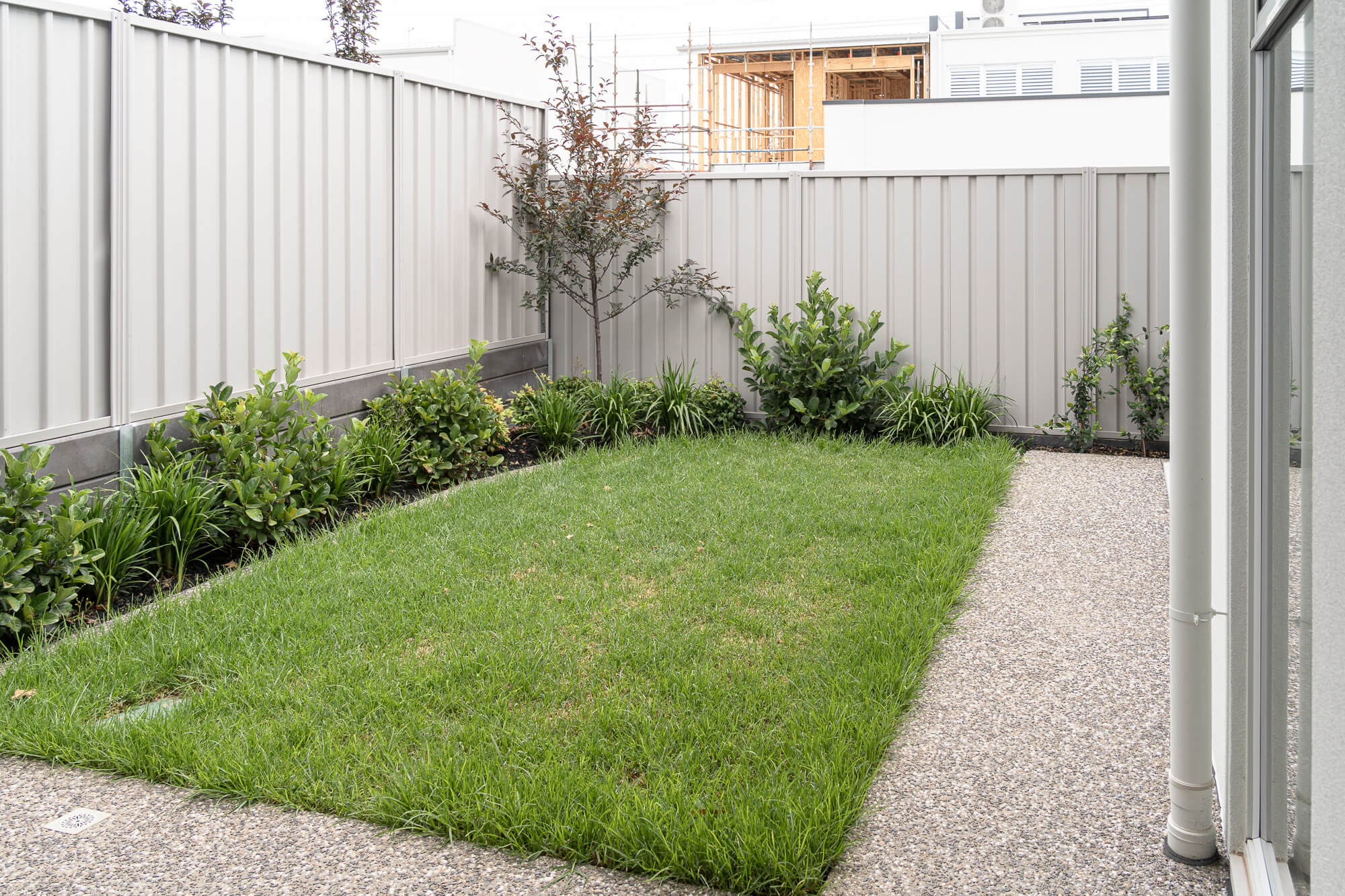 Residential garden with central lawn and surrounding planting design